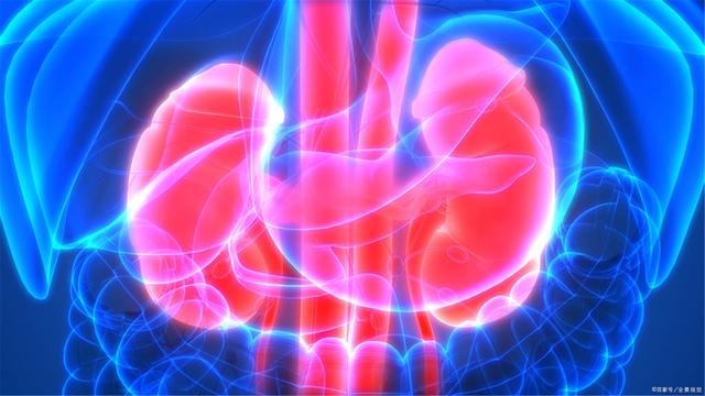 喝水越多对肾脏越好？关于肾病的6大谣言，不要再上当了！