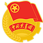 中国共青团网