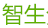 智生分类信息网