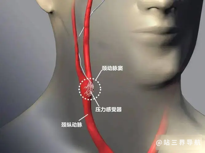 动脉损害会引发脑卒中 看眼睛症状辨别脑卒中前兆