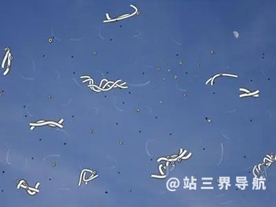 飞蚊症是怎样的一种感觉？飞蚊症有好有坏！