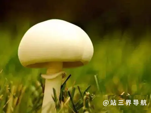 患湿疹应少吃秋葵蘑菇，10大日常守则要注意！