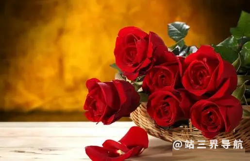 玫瑰花保存时间更长的小妙招