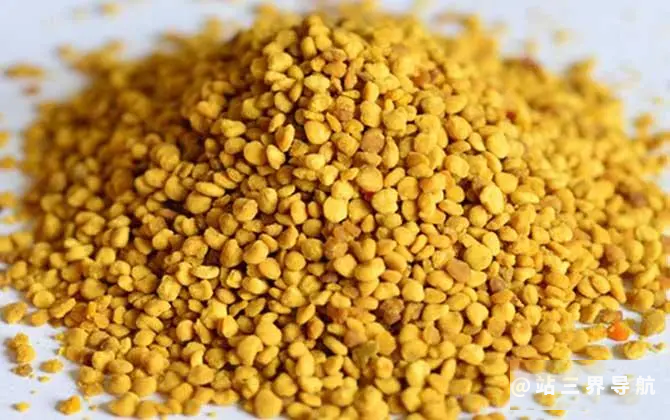 油菜花粉的功效与作用