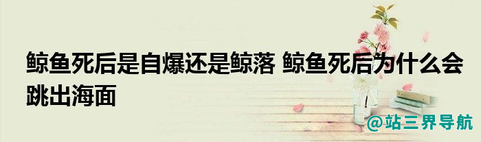 鲸鱼死后是自爆还是鲸落 鲸鱼死后为什么会跳出海面