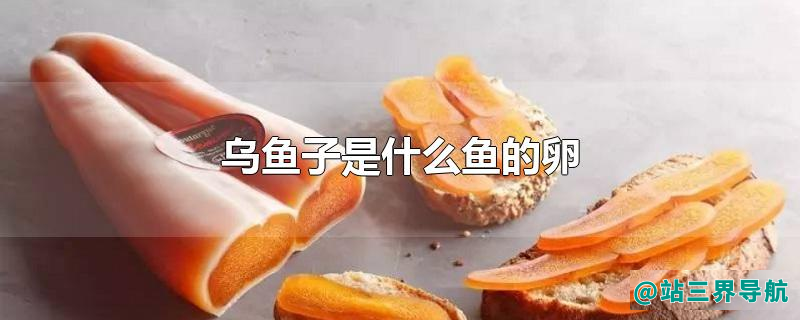 乌鱼子是什么鱼的卵