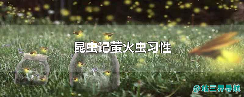 昆虫记萤火虫习性