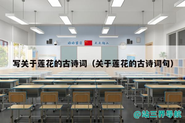 写关于莲花的古诗词（关于莲花的古诗词句）