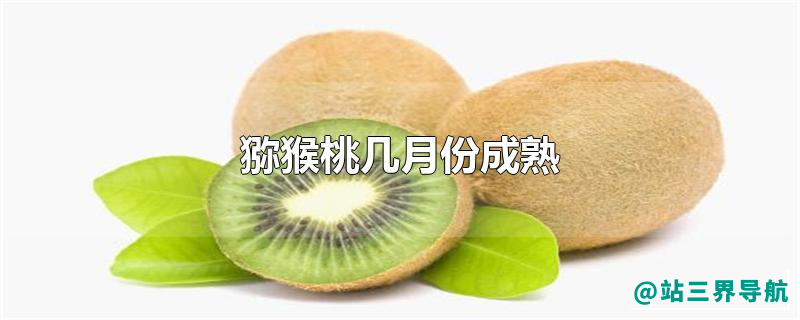 猕猴桃几月份成熟