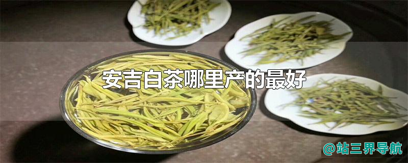 安吉白茶哪里产的最好