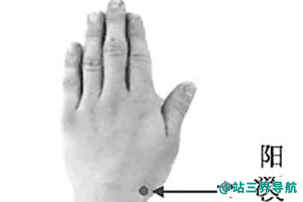 阳溪的功效与作用