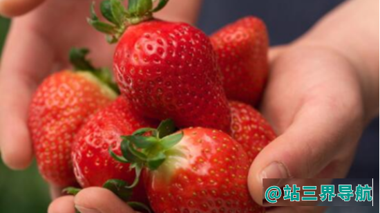 什么人不能吃草莓