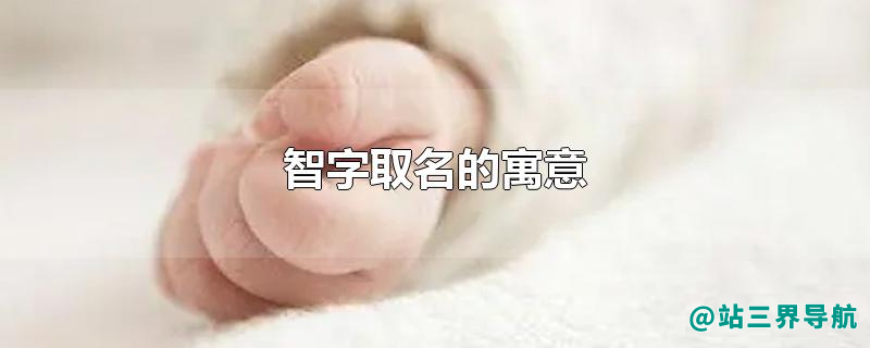 智字取名的寓意