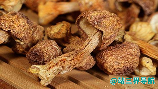 姬松菇不能和什么一起吃