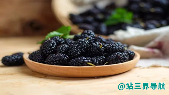 山药和桑葚能不能一起吃