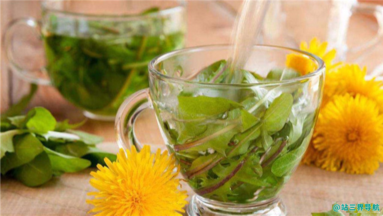 女人经常喝蒲公英水对身体好吗