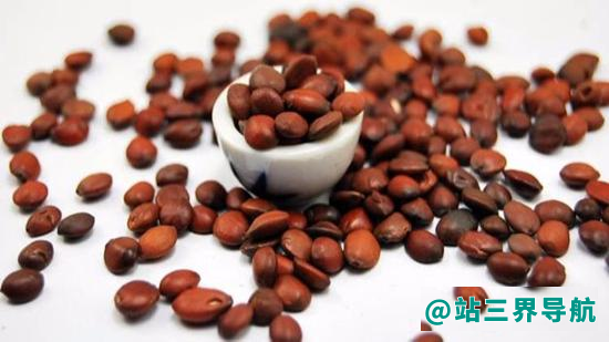 酸枣仁生熟有什么功效