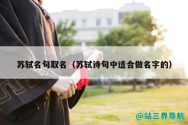 苏轼名句取名（苏轼诗句中适合做名字的）