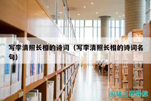 写李清照长相的诗词（写李清照长相的诗词名句）