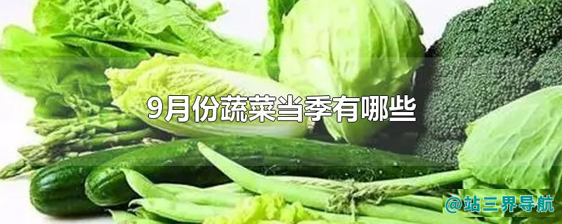 9月份蔬菜当季有哪些